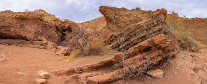 Picture of OROCOPIA MOUNTAINS- CALIFORNIA