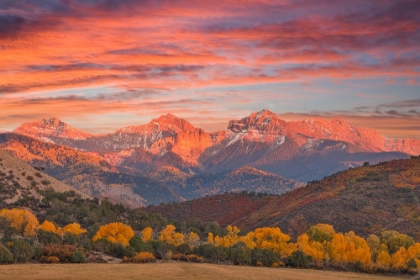 Picture of USA- COLORADO- RIDGWAY. SUNSET AND DALLAS MOUNTAIN RANGE AUTUMN