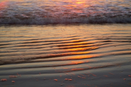 Picture of USA- GEORGIA- TYBEE ISLAND. SUNRISE WITH RIPPLES IN THE SAND