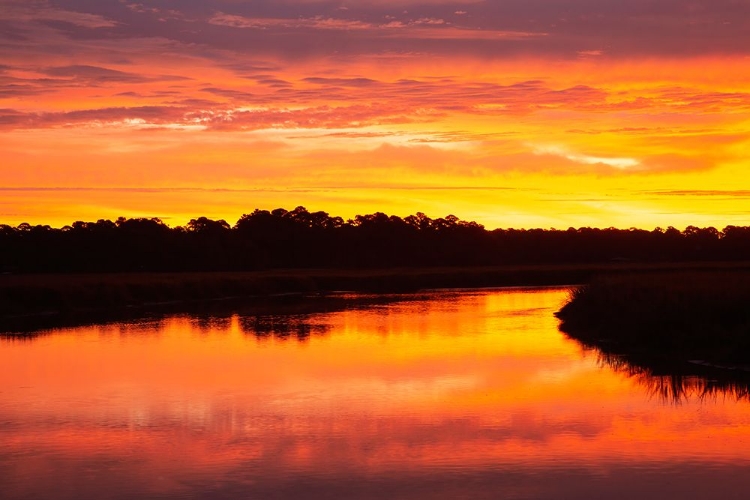 Picture of USA- GEORGIA- SAVANNAH. SUNRISE ALONG GRIMBALL CREEK.