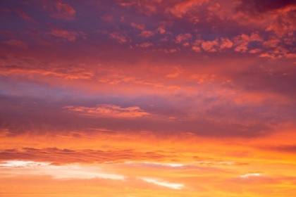 Picture of USA- GEORGIA- CLOUDS REFLECTING SUNRISE.