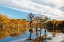 Picture of USA- GEORGIA- TWIN CITY. CYPRESS TREES IN MORNING LIGHT IN THE FALL.
