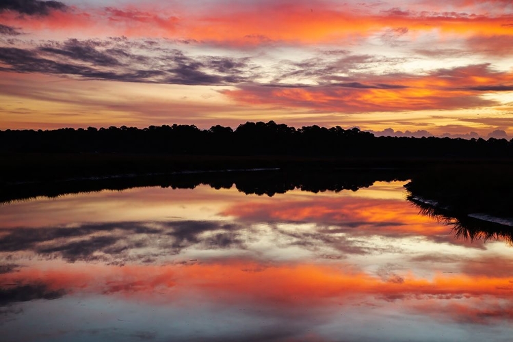 Picture of USA- GEORGIA- SAVANNAH. SUNRISE ALONG GRIMBALL CREEK.