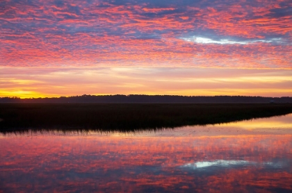 Picture of USA- GEORGIA- SAVANNAH. SUNRISE ALONG GRIMBALL CREEK.