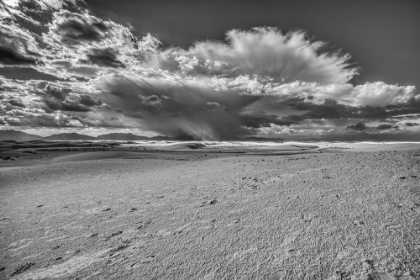 Picture of USA- NEW MEXICO- WHITE SANDS NATIONAL PARK. BLACK AND WHITE