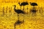 Picture of USA- NEW MEXICO- BOSQUE DEL APACHE NATIONAL WILDLIFE REFUGE. SANDHILL CRANE SILHOUETTES AT SUNSET.