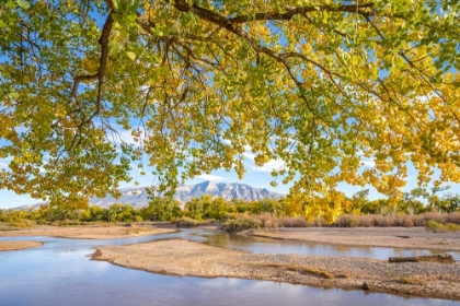 Picture of USA- NEW MEXICO- SANDOVAL COUNTY. SANDIA MOUNTAINS AND RIO GRANDE RIVER IN AUTUMN.