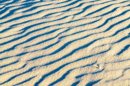 Picture of USA- NEW MEXICO- WHITE SANDS NATIONAL MONUMENT. RIPPLE PATTERNS IN WHITE SAND DUNE.