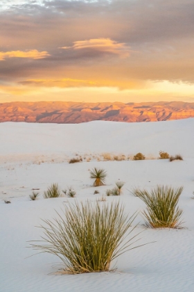 Picture of USA- NEW MEXICO- WHITE SANDS NATIONAL MONUMENT. CLOUDS OVER SAND DUNES AND YUCCA CACTUS.