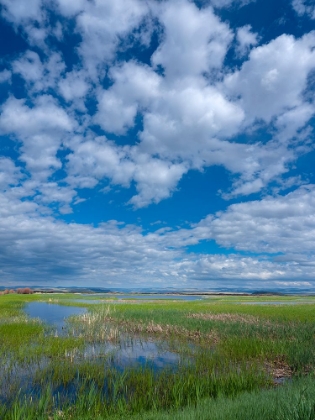 Picture of MALHEUR NATIONAL WILDLIFE REFUGE