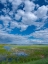 Picture of MALHEUR NATIONAL WILDLIFE REFUGE