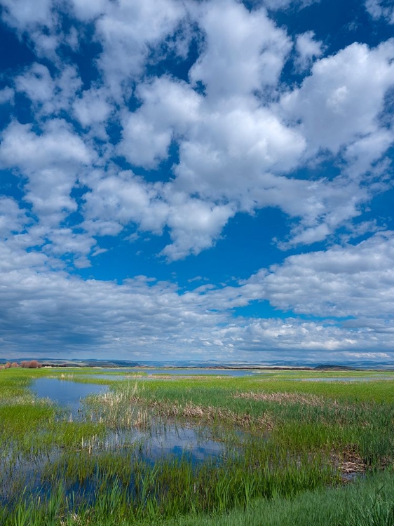 Picture of MALHEUR NATIONAL WILDLIFE REFUGE