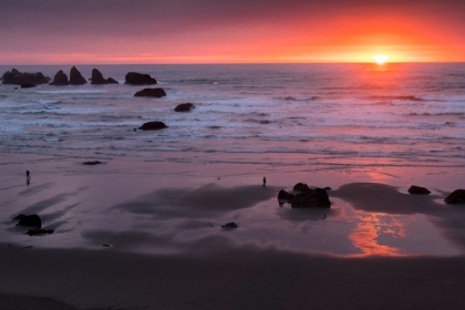 Picture of SUNSET LIGHTS UP BANDON BEACH IN OREGON.