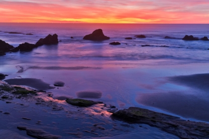 Picture of USA- OREGON. SEAL ROCK STATE RECREATION SITE SUNSET AT LOW TIDE