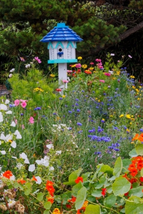 Picture of USA- OREGON. CANNON BEACH AND COTTAGE GARDEN WITH WHITE BIRDHOUSE WITH BLUE ROOF