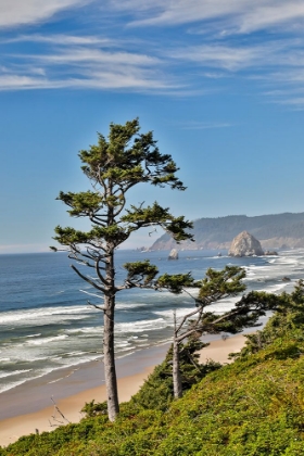 Picture of USA- OREGON. CANNON BEACH WITH HAYSTACK