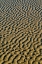Picture of USA- OREGON. CANNON BEACH LOW TIDE AND RIPPLES IN THE SAND.