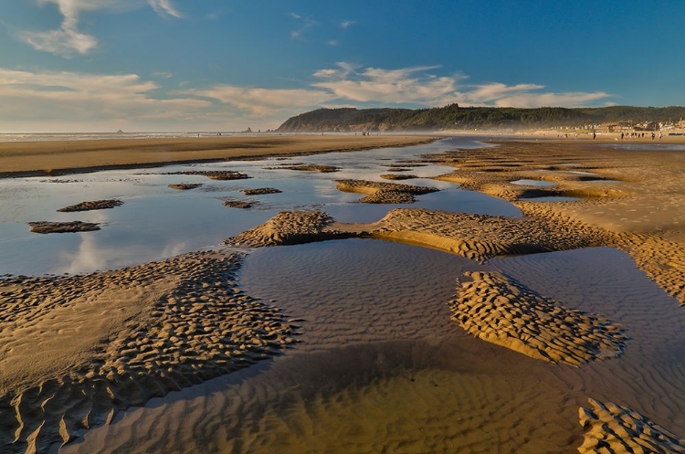 Picture of USA- OREGON. CANNON BEACH LOW TIDE AND RIPPLES IN THE SAND.