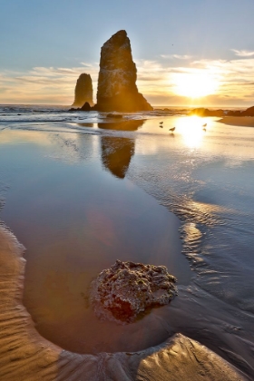 Picture of USA- OREGON. CANNON BEACH LOW TIDE AND RIPPLES IN THE SAND AND SEA STACKS AT SUNSET.
