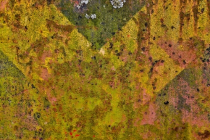 Picture of USA- OREGON- TILLAMOOK. CLOSE-UP OF OLD AND RUSTED PAINTED FRONT TRUCK BUMPER