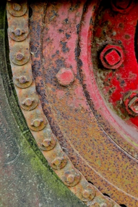 Picture of USA- OREGON- TILLAMOOK. CLOSE-UP OF OLD AND RUSTED PAINTED TRUCK WHEELS