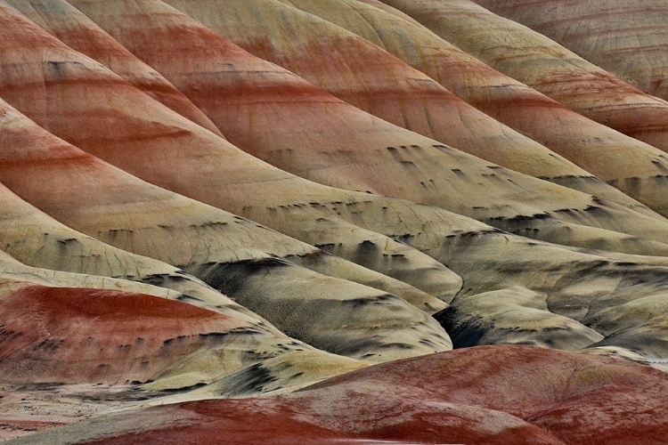 Picture of USA- OREGON. JOHN DAY FOSSIL BEDS NATIONAL MONUMENT BADLANDS LANDSCAPE.