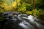 Picture of USA- OREGON- SILVER FALL STATE PARK FALL COLORS ALONG SOUTH FORK SILVER FALLS CREEK