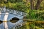Picture of USA- SOUTH CAROLINA- CHARLESTON. MAGNOLIA PLANTATION