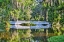 Picture of USA- SOUTH CAROLINA- CHARLESTON. MAGNOLIA PLANTATION