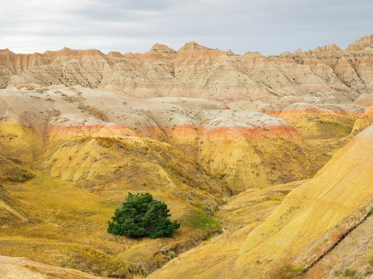 Picture of SOUTH DAKOTA- BADLANDS NATIONAL PARK. BADLANDS ROCK FORMATIONS- YELLOW MOUNDS