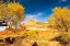 Picture of USA- UTAH- CAPITOL REEF NATIONAL PARK. THE CASTLE ROCK FORMATION AND FREMONT RIVER.