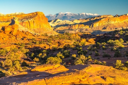 Picture of USA- UTAH- CAPITOL REEF NATIONAL PARK. ERODED ROCK FORMATIONS AND MOUNTAINS.