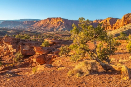 Picture of USA- UTAH- CAPITOL REEF NATIONAL PARK. ERODED ROCK FORMATIONS AND MOUNTAINS.