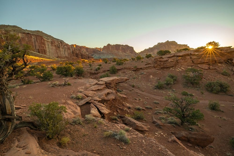 Picture of USA- UTAH- CAPITOL REEF NATIONAL PARK. SUNRISE SUNBURST ON LANDSCAPE.