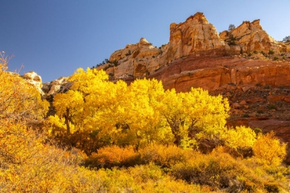 Picture of USA- UTAH- GRAND STAIRCASE ESCALANTE NATIONAL MONUMENT. CALF CREEK CANYON LANDSCAPE.