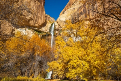 Picture of USA- UTAH- GRAND STAIRCASE ESCALANTE NATIONAL MONUMENT. LANDSCAPE WITH LOWER CALF CREEK FALLS.
