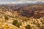 Picture of USA- UTAH- GRAND STAIRCASE ESCALANTE NATIONAL MONUMENT. CLIFF AND AUTUMN COTTONWOOD TREES.