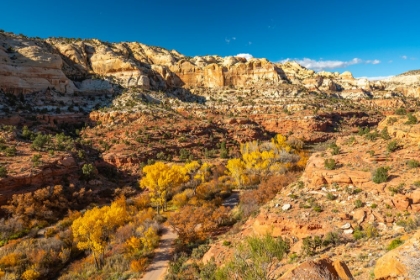 Picture of USA- UTAH- GRAND STAIRCASE ESCALANTE NATIONAL MONUMENT. CALF CREEK CANYON