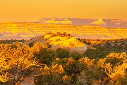 Picture of USA- UTAH- GRAND STAIRCASE ESCALANTE NATIONAL MONUMENT. SUNRISE ON CLIFF AND VALLEY.