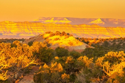 Picture of USA- UTAH- GRAND STAIRCASE ESCALANTE NATIONAL MONUMENT. SUNRISE ON CLIFF AND VALLEY.