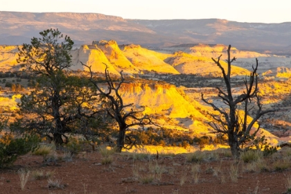 Picture of USA- UTAH- GRAND STAIRCASE ESCALANTE NATIONAL MONUMENT. SUNRISE ON ERODED CLIFFS AND VALLEY.