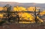 Picture of USA- UTAH- GRAND STAIRCASE ESCALANTE NATIONAL MONUMENT. SUNRISE ON ERODED CLIFFS AND VALLEY.