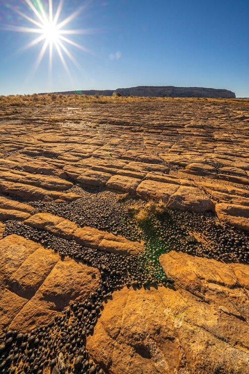 Picture of USA- UTAH- GRAND STAIRCASE ESCALANTE NATIONAL MONUMENT. MOQUI MARBLES STONES AND ROCKS.