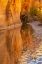 Picture of USA- UTAH- GRAND STAIRCASE ESCALANTE NATIONAL MONUMENT. HARRIS WASH AND ROCK WALL.