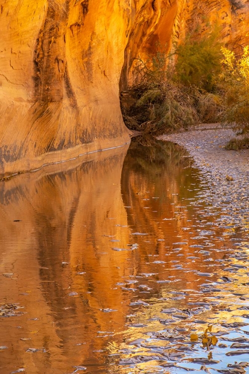 Picture of USA- UTAH- GRAND STAIRCASE ESCALANTE NATIONAL MONUMENT. HARRIS WASH AND ROCK WALL.