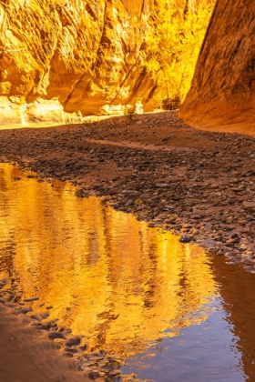 Picture of USA- UTAH- GRAND STAIRCASE ESCALANTE NATIONAL MONUMENT. HARRIS WASH REFLECTION.