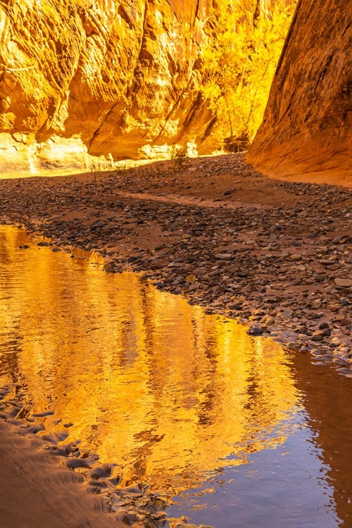 Picture of USA- UTAH- GRAND STAIRCASE ESCALANTE NATIONAL MONUMENT. HARRIS WASH REFLECTION.