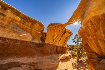 Picture of USA- UTAH- GRAND STAIRCASE ESCALANTE NATIONAL MONUMENT. SUNBURST ON ERODED ROCK