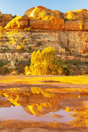 Picture of USA- UTAH- GRAND STAIRCASE ESCALANTE NATIONAL MONUMENT. REFLECTIONS IN ESCALANTE RIVER BASIN WATER.