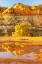 Picture of USA- UTAH- GRAND STAIRCASE ESCALANTE NATIONAL MONUMENT. REFLECTIONS IN ESCALANTE RIVER BASIN WATER.